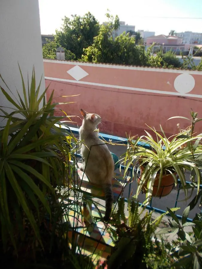 Ztir Apartment Olhao Portugal